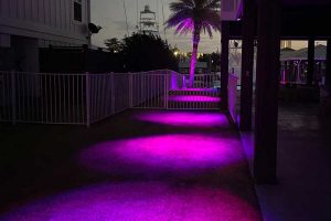 beach-house-luxury-outdoor-led-lighting-daltons-sprinklers-drainage-and-lighting-foley-alabama